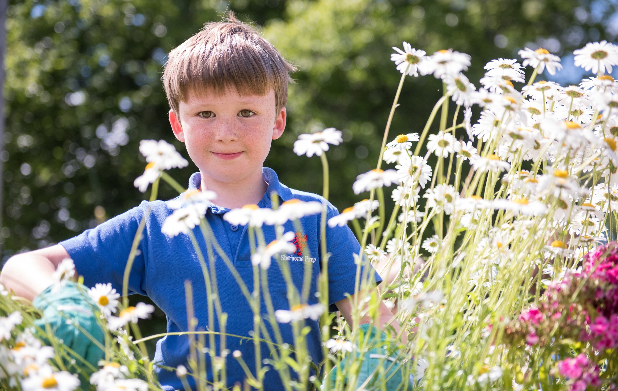 SPS Boy in Flowers